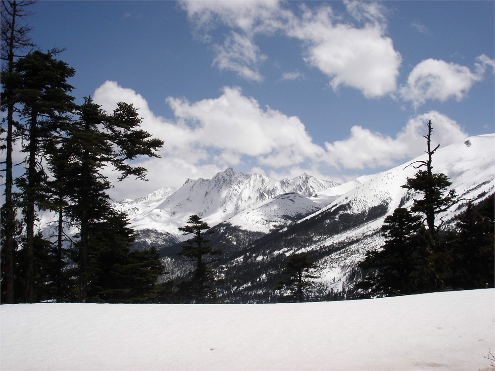 白茫雪山图片,白茫雪山图库,白茫雪山旅游图片